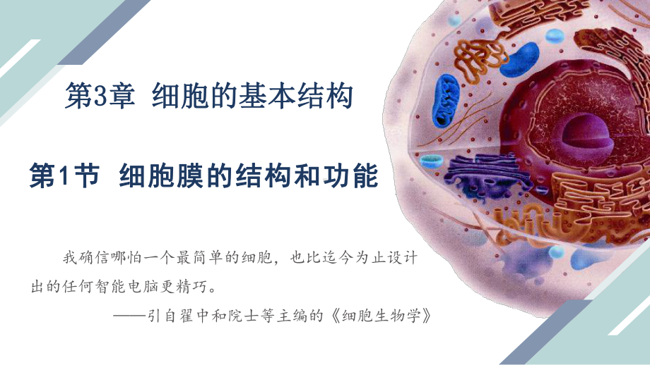 3.1细胞膜的结构和功能ppt课件-2023新人教版（2019）《高中生物》必修第一册.pptx_第1页