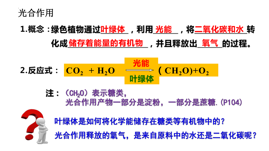 5.4.2光合作用的原理和应用 ppt课件-2023新人教版（2019）《高中生物》必修第一册.pptx_第3页