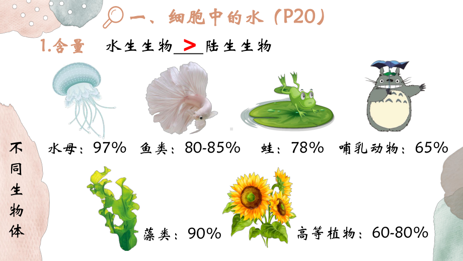 2.2细胞中的无机物ppt课件 (3)-2023新人教版（2019）《高中生物》必修第一册.pptx_第3页