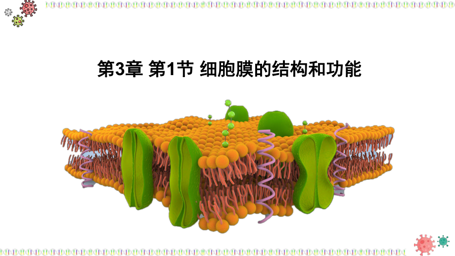 3.1.1细胞膜的结构和功能ppt课件-2023新人教版（2019）《高中生物》必修第一册.pptx_第1页