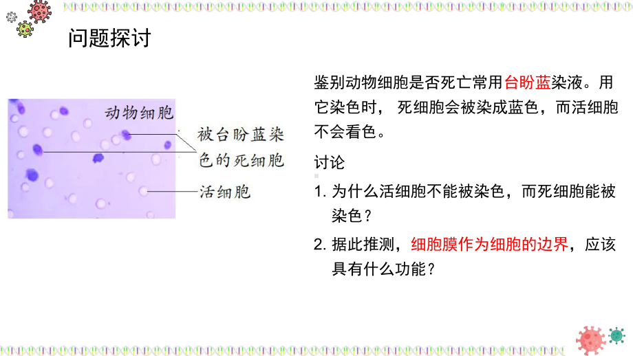 3.1.1细胞膜的结构和功能ppt课件-2023新人教版（2019）《高中生物》必修第一册.pptx_第2页