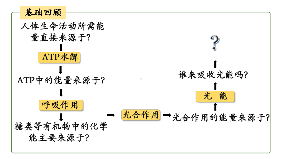 5.4光合作用与能量转化ppt课件-2023新人教版（2019）《高中生物》必修第一册.pptx_第1页