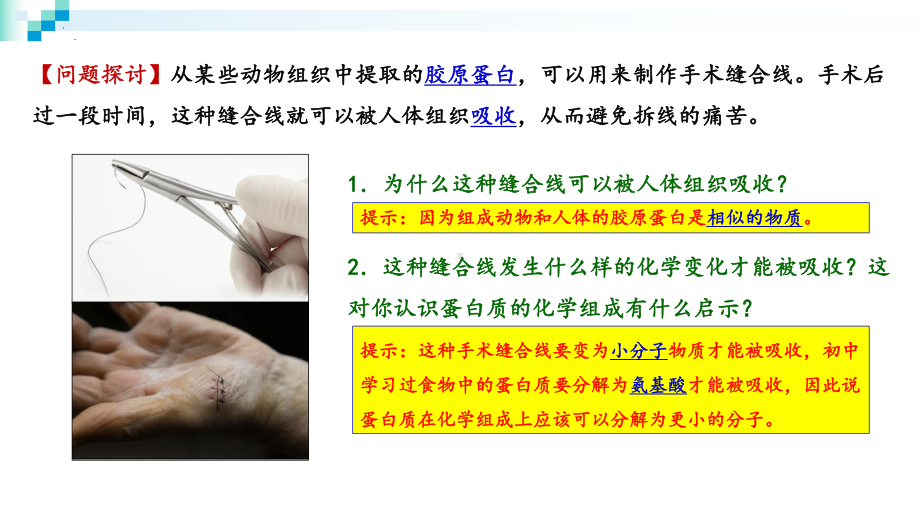 2.4蛋白质是生命活动的主要承担者ppt课件-2023新人教版（2019）《高中生物》必修第一册.pptx_第2页