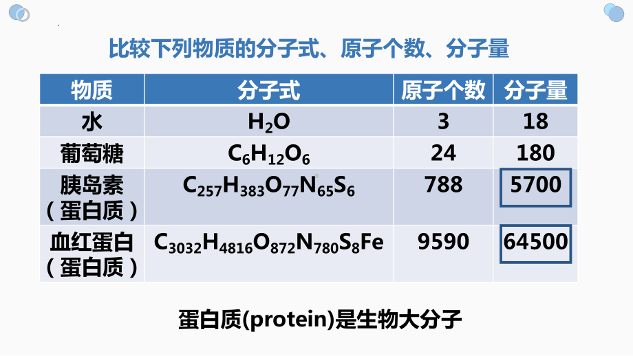 2.4蛋白质是生命活动的主要承担者ppt课件 (6)-2023新人教版（2019）《高中生物》必修第一册.pptx_第3页