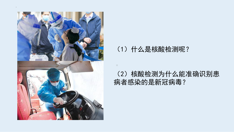 2.5核酸是遗传信息的携带者 ppt课件 -2023新人教版（2019）《高中生物》必修第一册.pptx_第3页