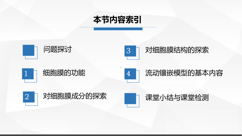 3.1 细胞膜的结构和功能ppt课件-2023新人教版（2019）《高中生物》必修第一册.pptx_第2页