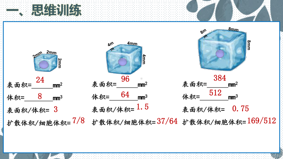 6.1细胞的增殖 ppt课件-2023新人教版（2019）《高中生物》必修第一册.pptx_第3页