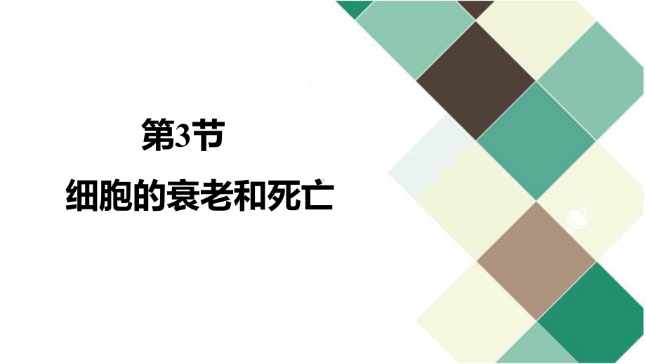 6.3细胞的衰老和死亡ppt课件-2023新人教版（2019）《高中生物》必修第一册.pptx_第1页