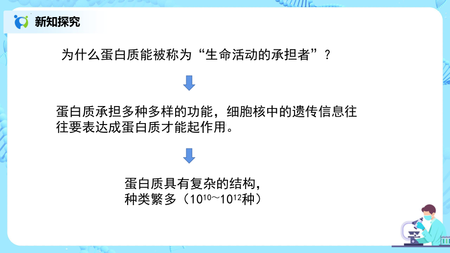 2.4.1《蛋白质是生命活动的主要承担者》ppt课件-2023新人教版（2019）《高中生物》必修第一册.pptx_第3页