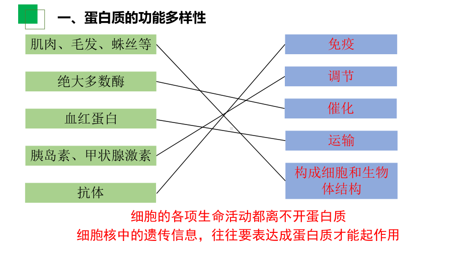 2.4蛋白质是生命活动的主要承担者ppt课件 (3)-2023新人教版（2019）《高中生物》必修第一册.pptx_第3页