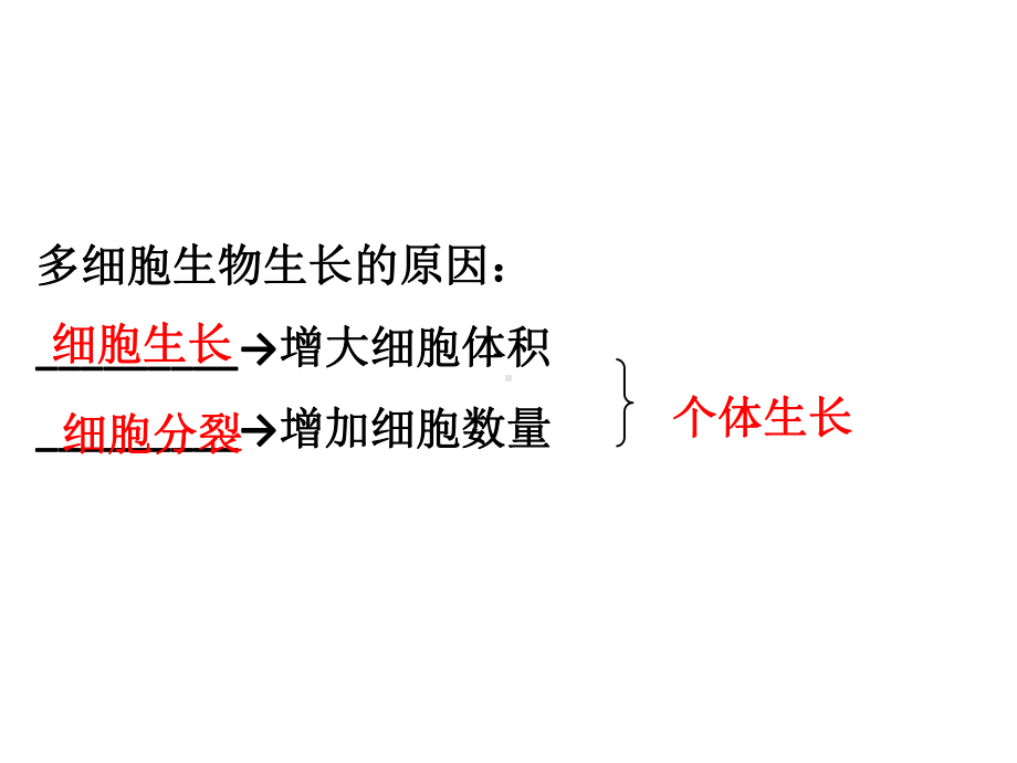 6.1细胞的繁殖ppt课件-2023新人教版（2019）《高中生物》必修第一册.pptx_第2页