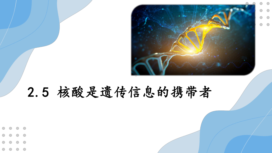 2.5 核酸是遗传信息的携带者ppt课件 (2)-2023新人教版（2019）《高中生物》必修第一册.pptx_第1页