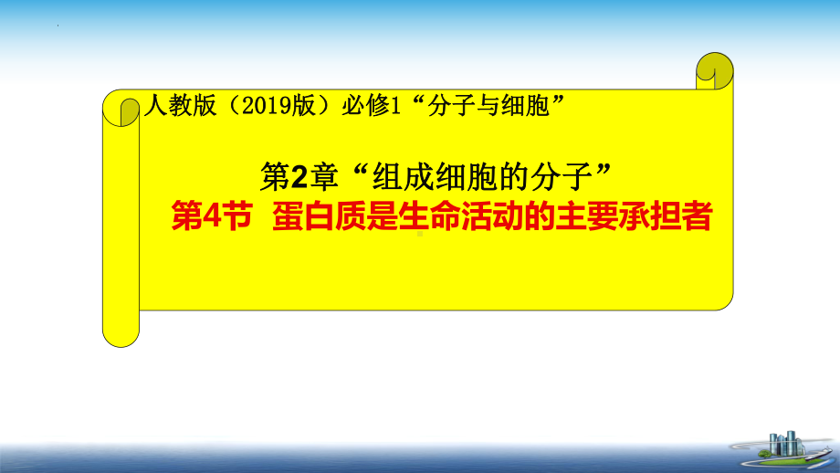 2.4蛋白质是生命活动的主要承担者说课ppt课件-2023新人教版（2019）《高中生物》必修第一册.pptx_第1页