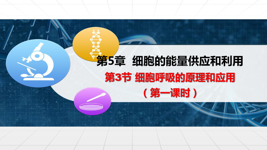 5.3细胞呼吸的原理和应用ppt课件 -2023新人教版（2019）《高中生物》必修第一册.pptx_第1页