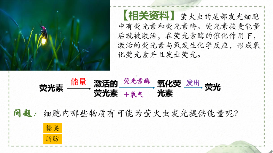 5.2细胞的能量“通货”-ATP ppt课件-2023新人教版（2019）《高中生物》必修第一册.pptx_第3页