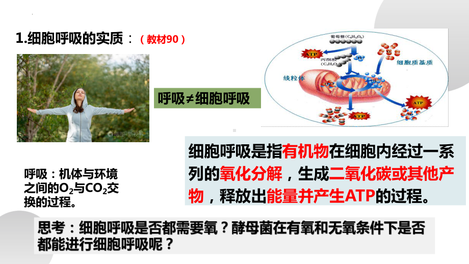 5.3细胞呼吸的原理和应用第1课时ppt课件-2023新人教版（2019）《高中生物》必修第一册.pptx_第3页