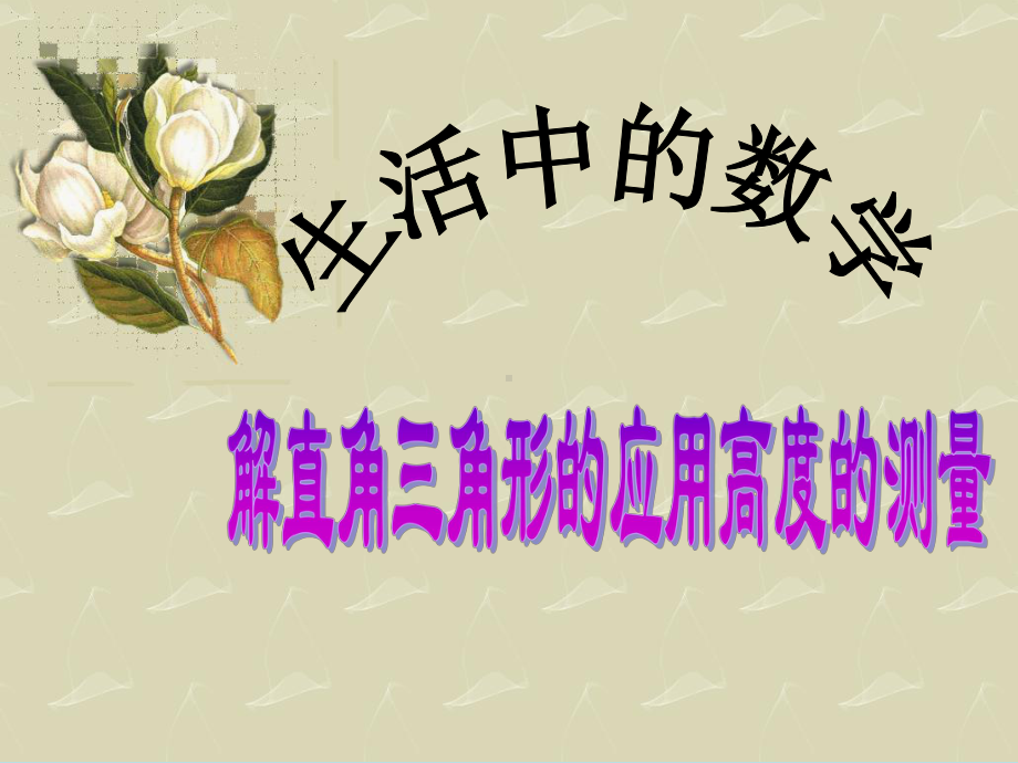 RJ人教版八年级数学下册课件解直角三角形的应用高度的测量数学活动a2.pptx_第1页