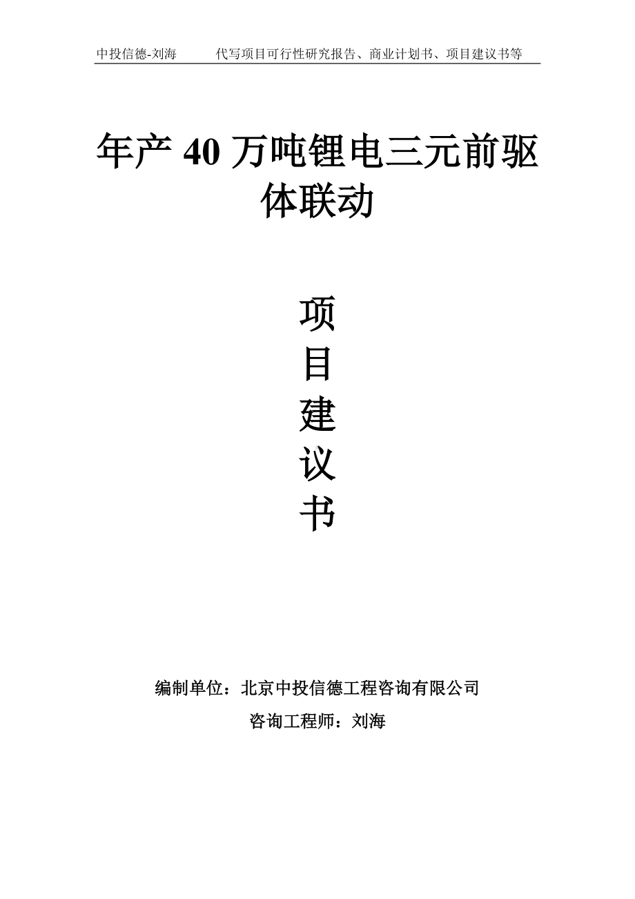 年产40万吨锂电三元前驱体联动项目建议书写作模板.doc_第1页