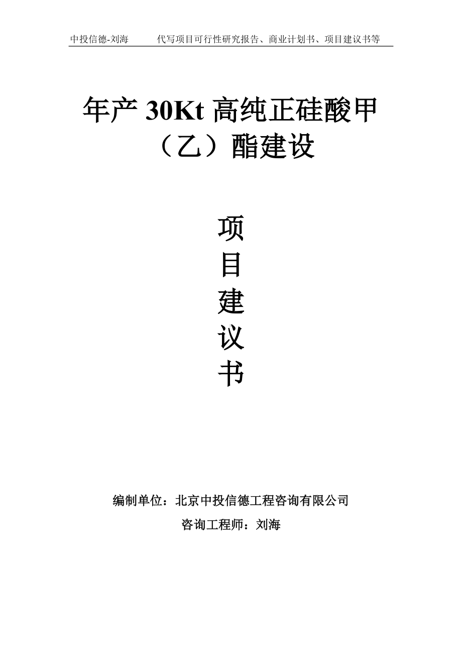 年产30Kt高纯正硅酸甲（乙）酯建设项目建议书写作模板.doc_第1页