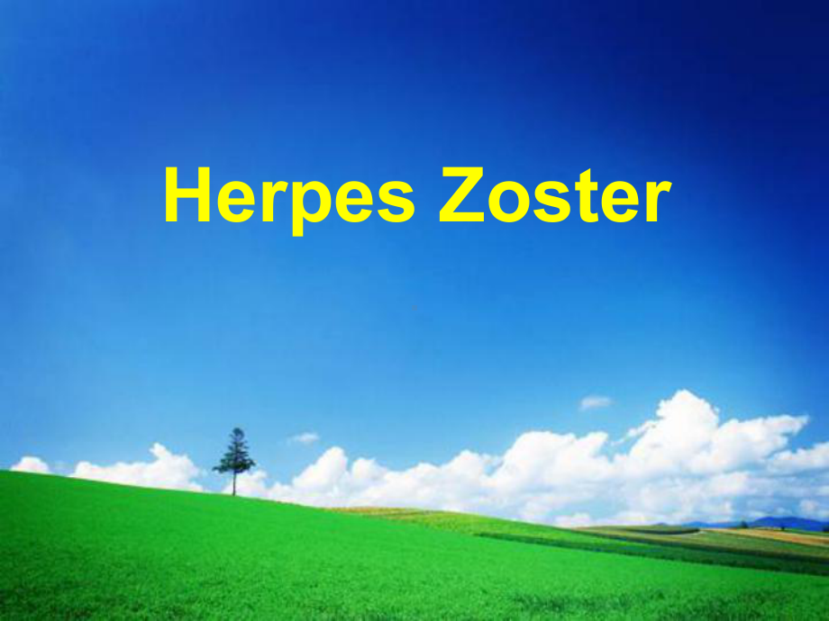 皮肤性病学课件：Herpes-Zoster.ppt_第1页