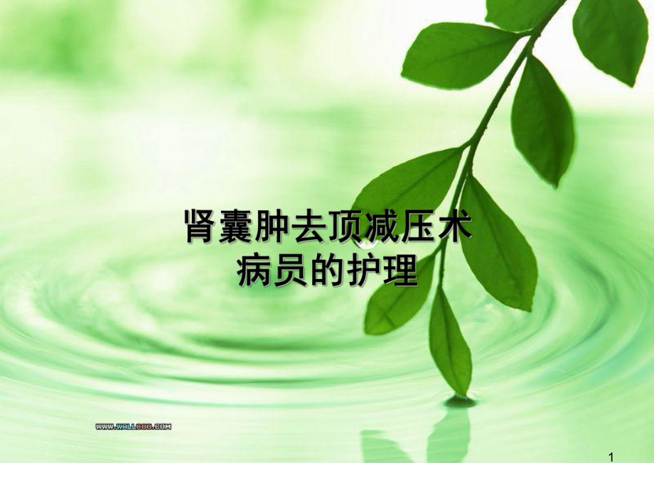 肾囊肿去顶减压术病人的护理参考教学课件.ppt_第1页