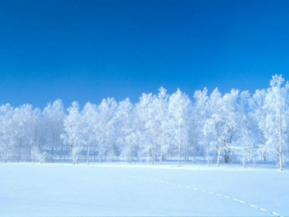 部编小学一年级上册12-雪地里的小画家-课件-一等奖新名师优质公开课获奖比赛人教版.ppt_第3页