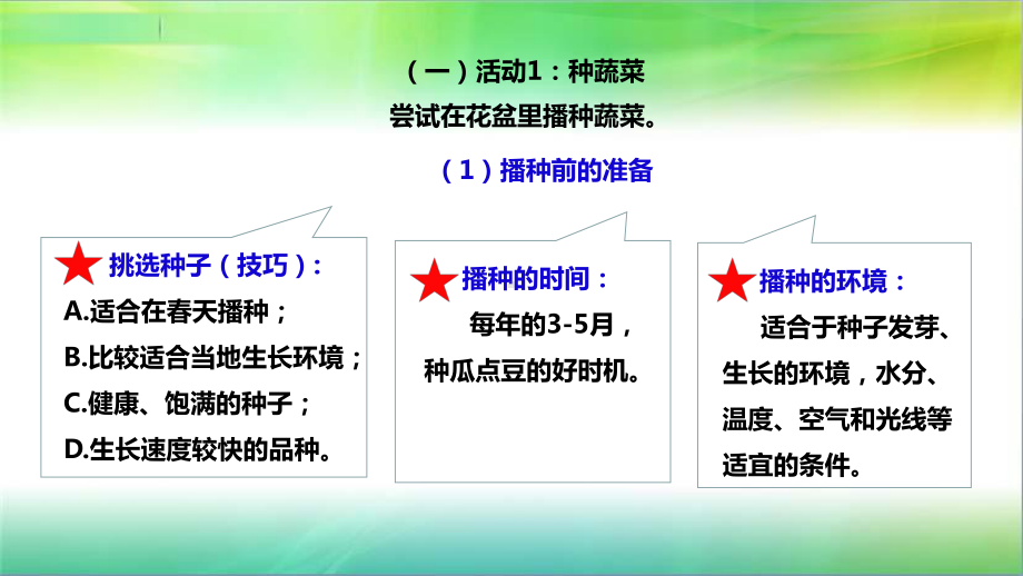 粤教版小学科学新版二年级下册科学26动手种蔬菜(课件).ppt_第3页