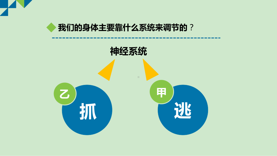 神经调节的基本方式-初中生物优秀教学课件.pptx_第2页