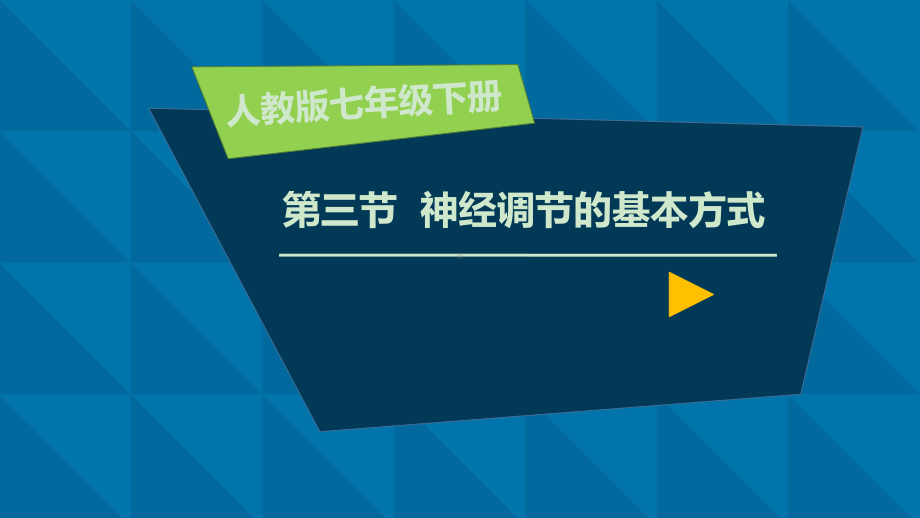 神经调节的基本方式-初中生物优秀教学课件.pptx_第3页