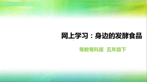 粤教粤科版小学科学五年级下册科学《网上学习：身边的发酵食品》课件.ppt