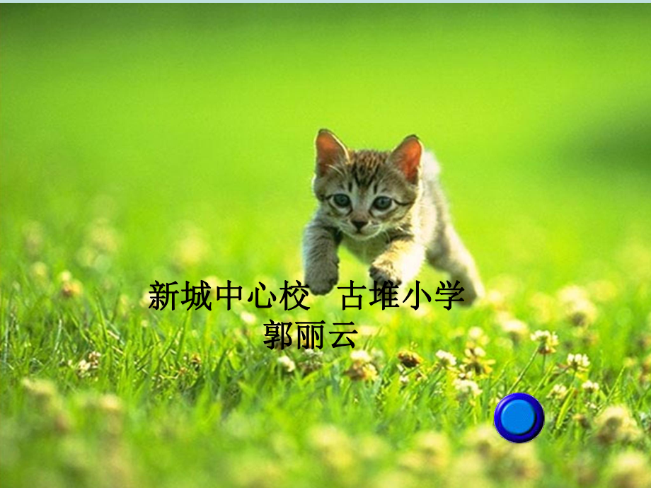 猫-公开课课件.ppt_第2页