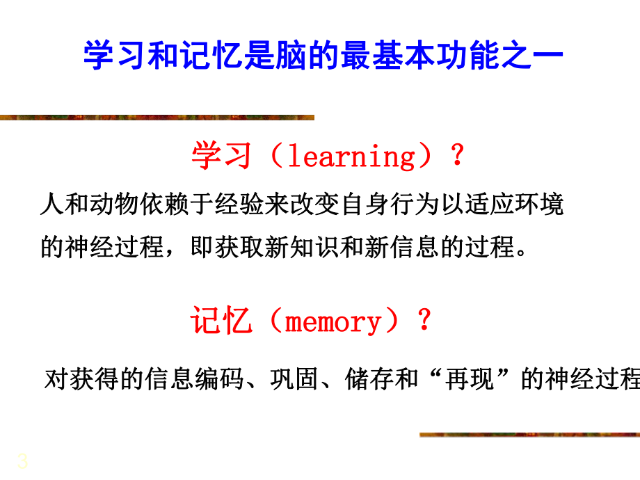 第七讲-学习与记忆的神经机制教学课件.ppt_第3页