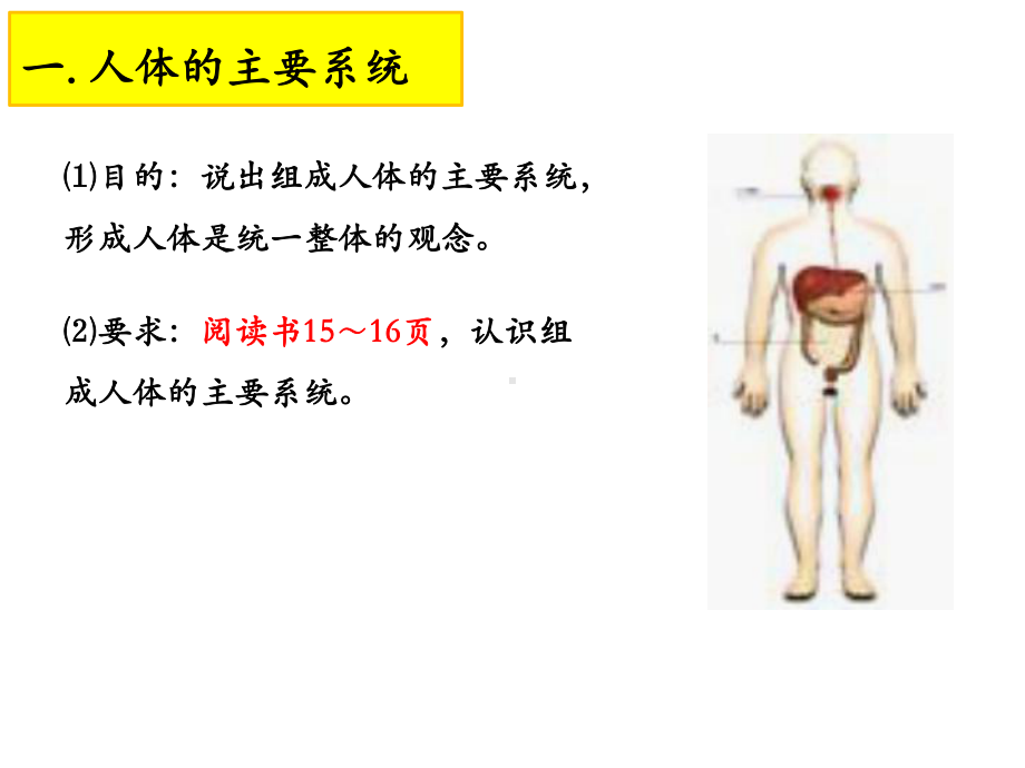 第三节人体概述课件.pptx_第3页