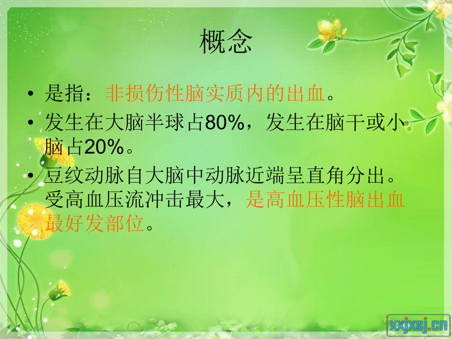 脑出血病人的护理课件讲义.ppt_第2页