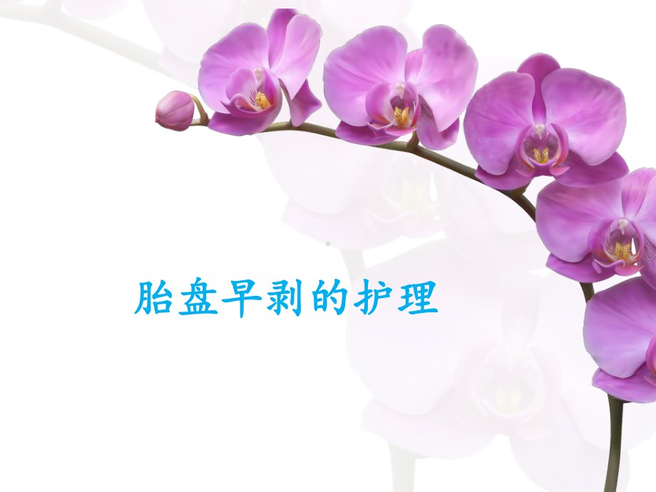 胎盘早剥护理课件.ppt_第1页