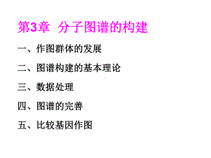 第3章分子图谱的构建课件.ppt