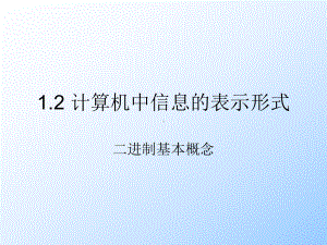 计算机信息的表示形式课件.ppt