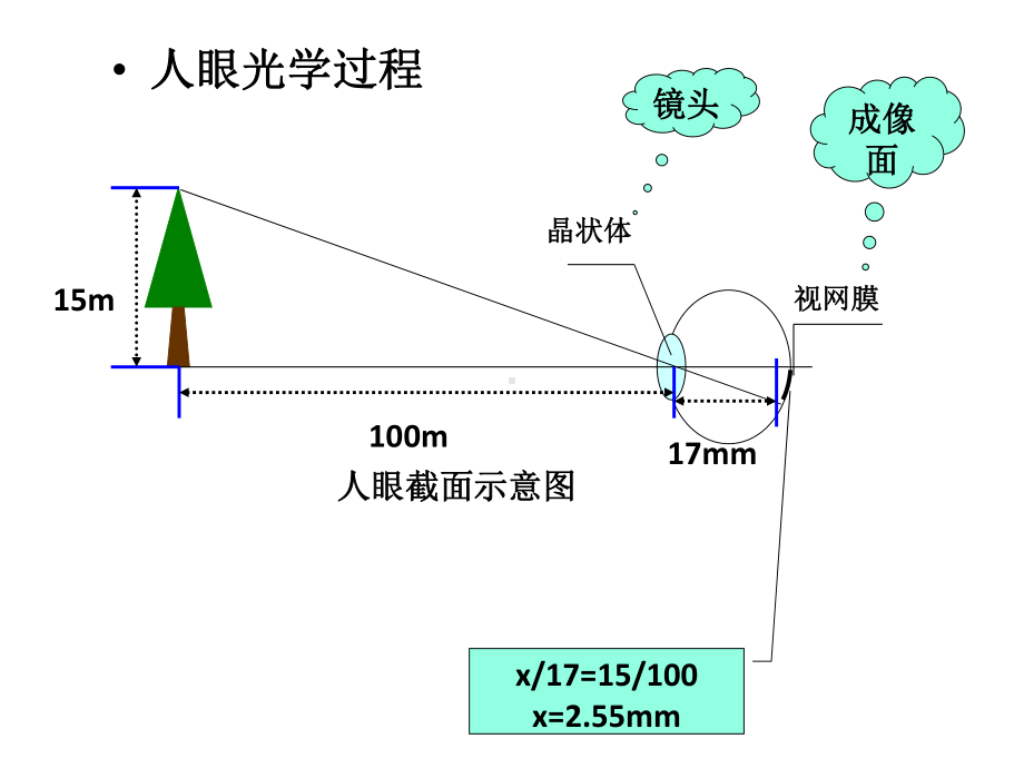 视觉基础资料课件.ppt_第3页