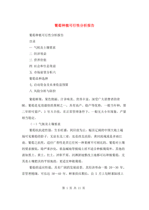 葡萄种植可行性分析报告.docx