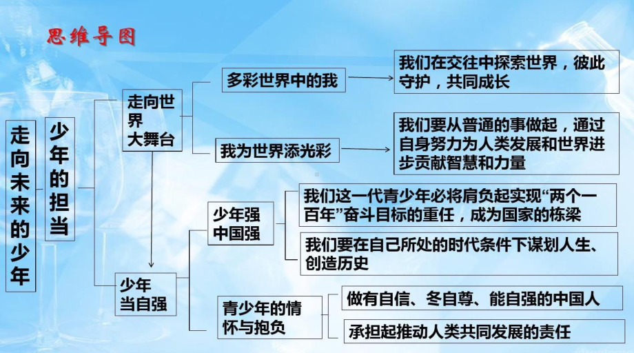 第三单元复习课件(九下道法).ppt_第3页