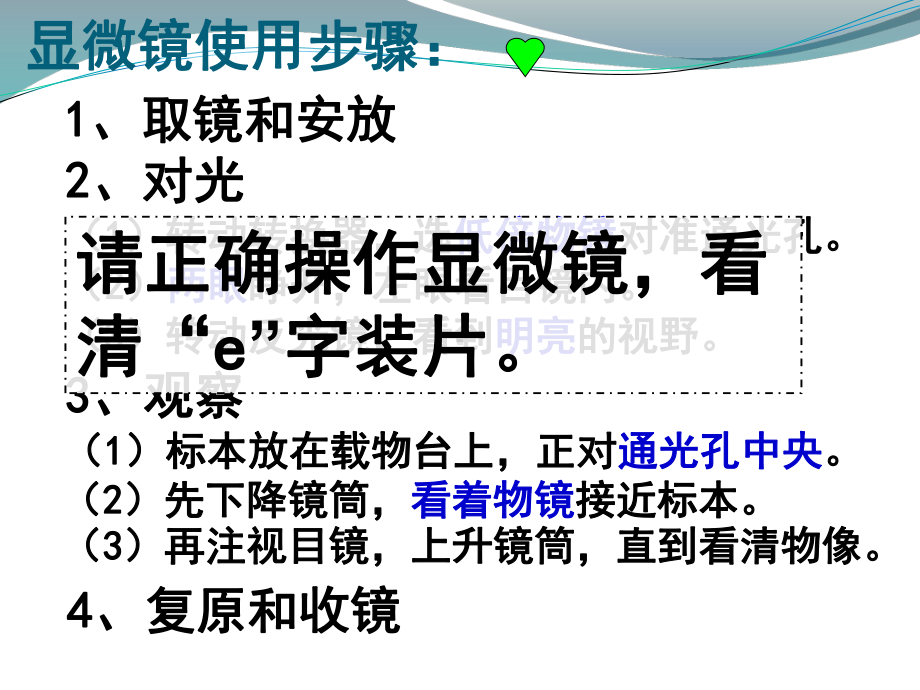 苏教版七年级上册生物第2单元第三章-3-1植物细胞的结构层次课件-.pptx_第1页