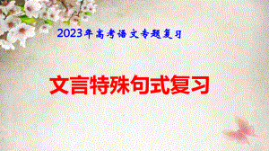 2023年高考语文专题复习：文言特殊句式复习 课件46张.pptx