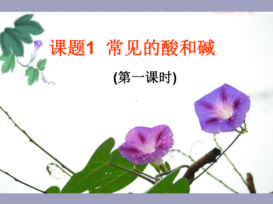 第十单元-课题1-常见的酸和碱优质课件.ppt_第2页