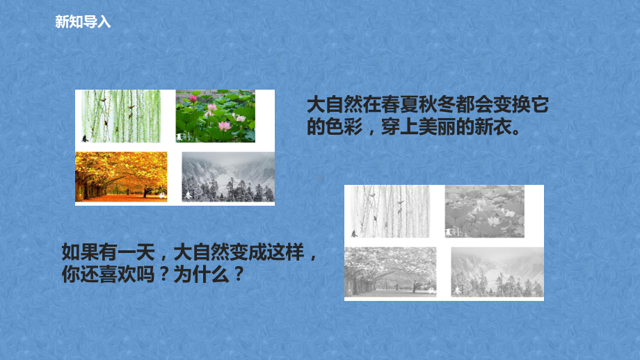 苏教版科学五上-七色光课件.ppt_第2页