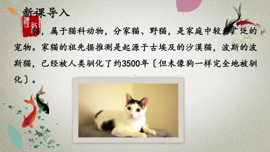 部编人教版七年级上册语文-16-猫-课件.pptx_第3页