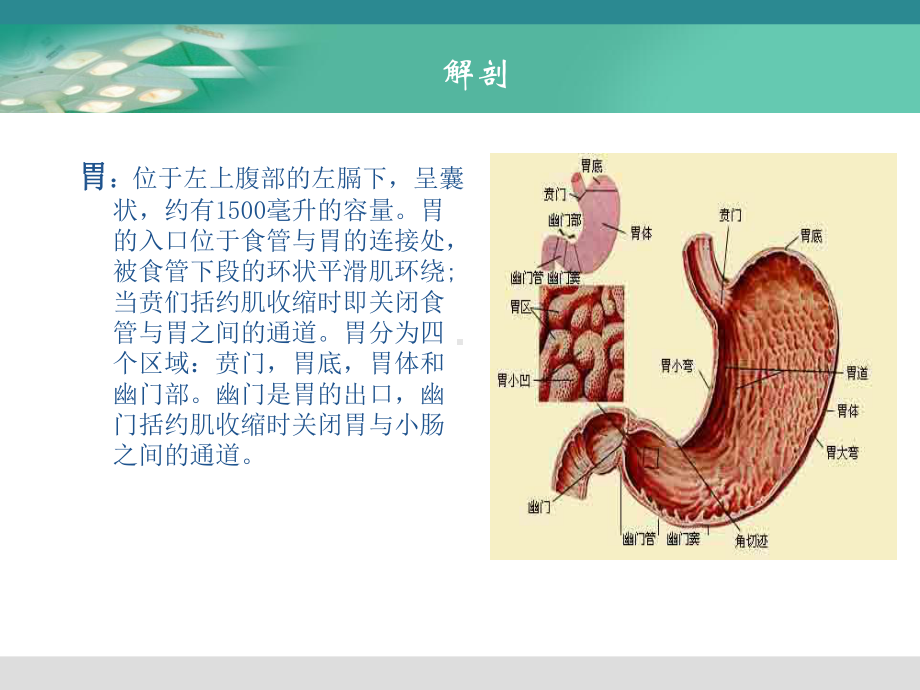 腹腔镜下胃癌根治术的手术配合汇总课件.ppt_第3页