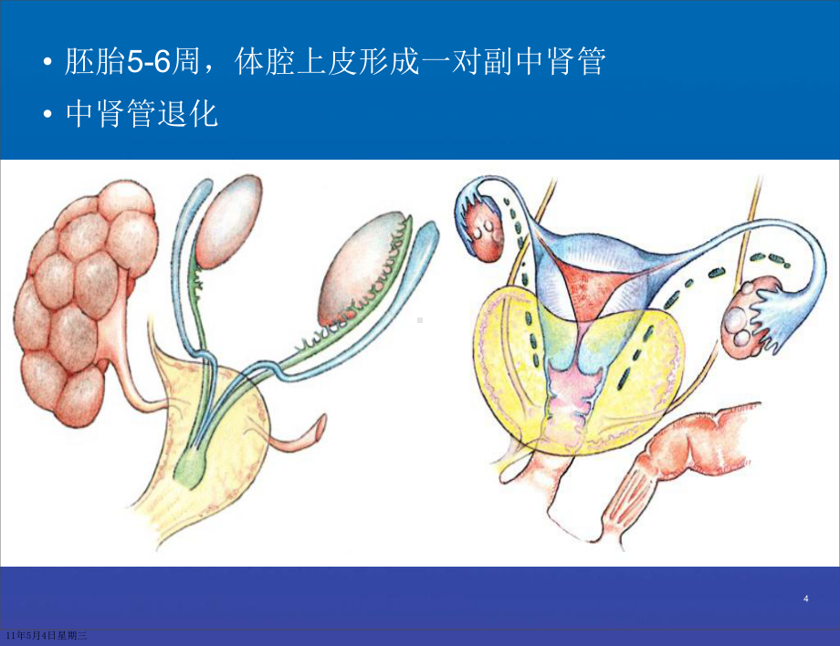 输卵管病变影像诊断课件.pptx_第3页