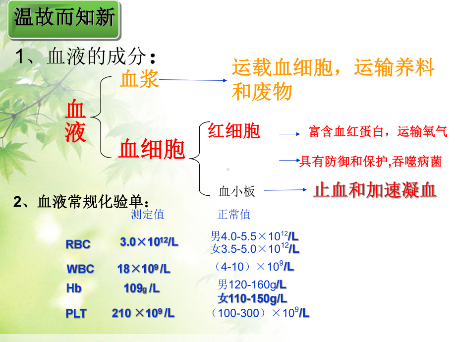 第二节血流的管道-血管课件.ppt_第1页