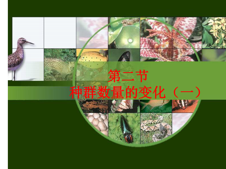 种群数量的变化1课件.ppt_第1页