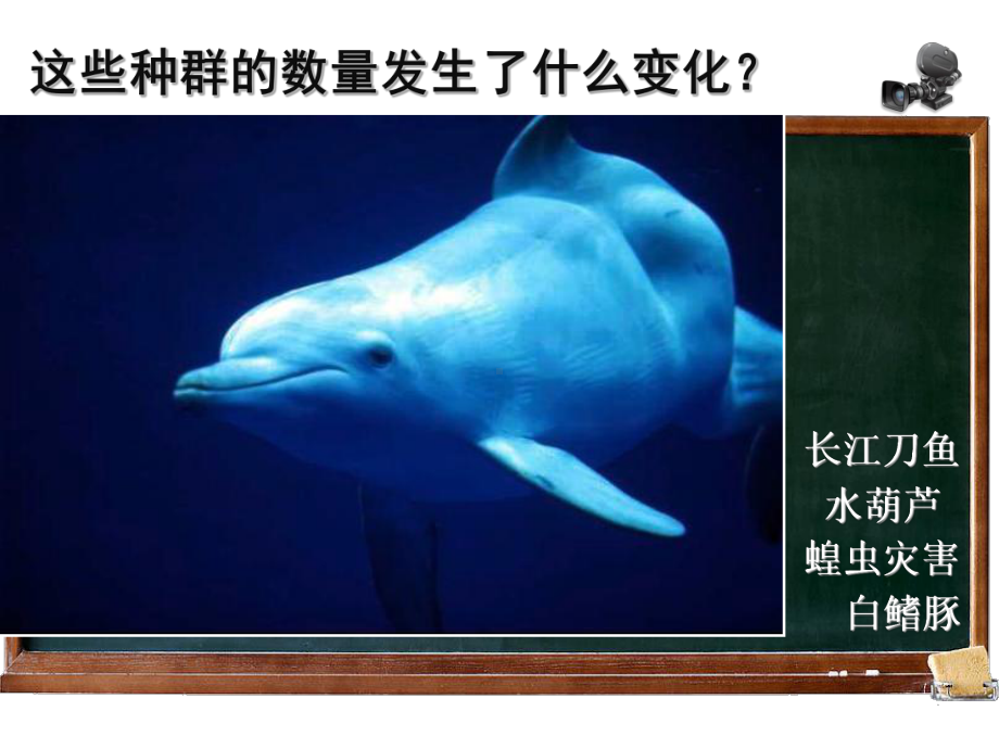 种群数量的变化1课件.ppt_第3页